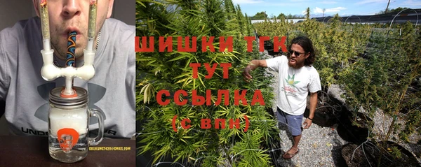 мдпв Бородино