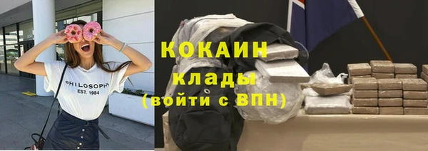 мдпв Бородино