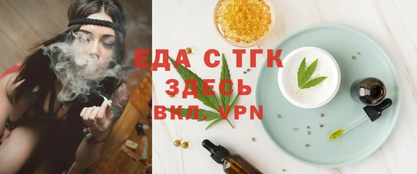 мдпв Бородино