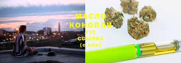мдпв Бородино