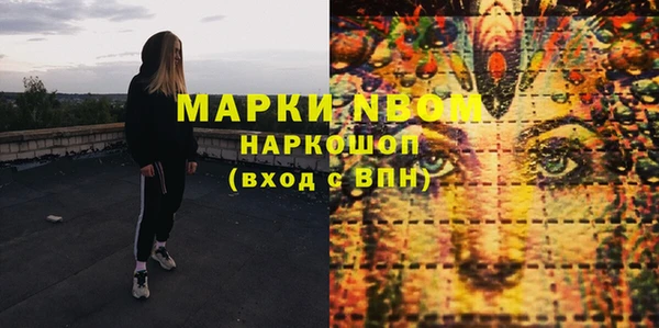 мдпв Бородино