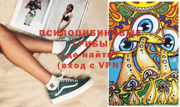 мдпв Бородино