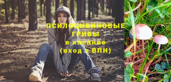 прущие грибы Верхний Тагил