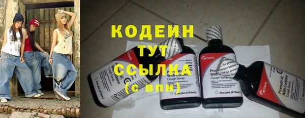 мдпв Бородино
