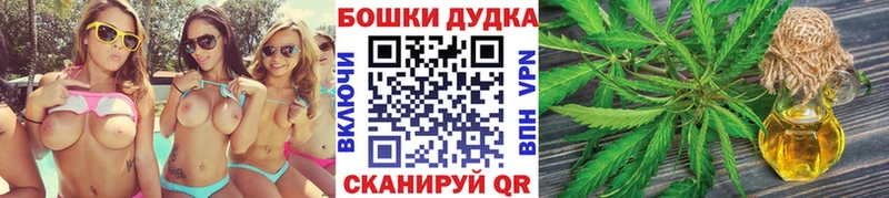 Каннабис сатива  наркота  Городовиковск 